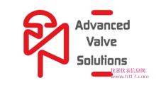 Advanced Valve Solutions BV (AVS)����