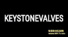 KEYSTONE���� KEYSTONE��ֹ��